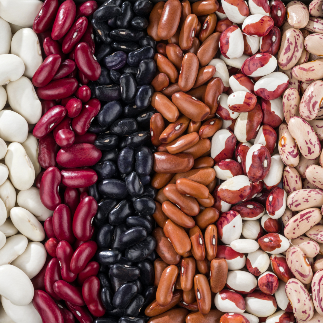 Hülsenfrucht Entdecker-Mix