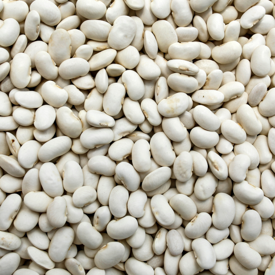 Bio Weiße Jumbobohnen aus China
